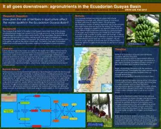 It all goes downstream: agronutrients in the Ecuadorian Guayas Basin