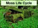 Moss Life Cycle - slide 1