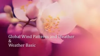Global Wind Patterns and Weather &amp; Weather Basic