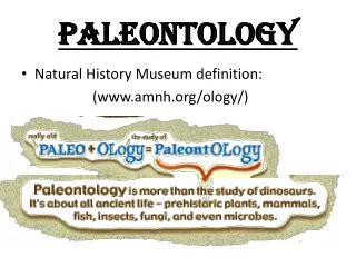 Paleontology