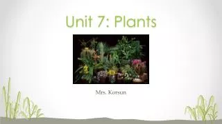 Unit 7: Plants