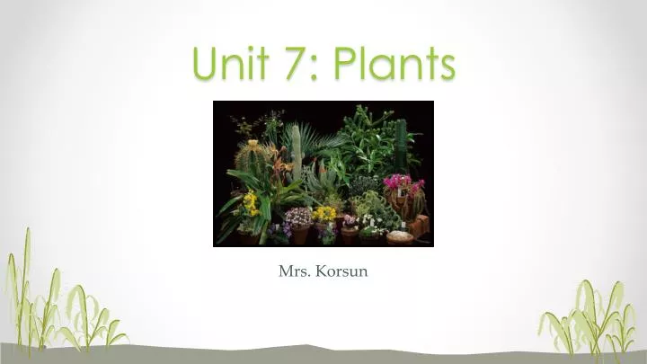 unit 7 plants