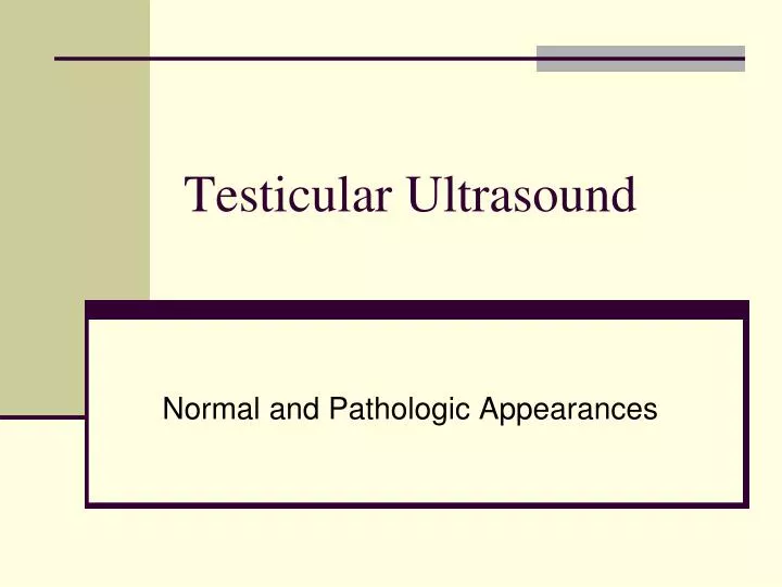 testicular ultrasound