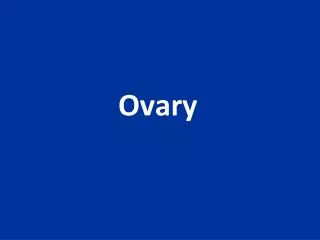 Ovary