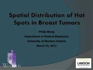 Spatial Distribution of Hot Spots in Breast Tumors