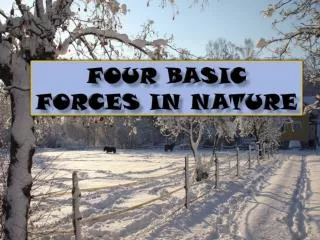 FOUR BASIC FORCES IN NATURE