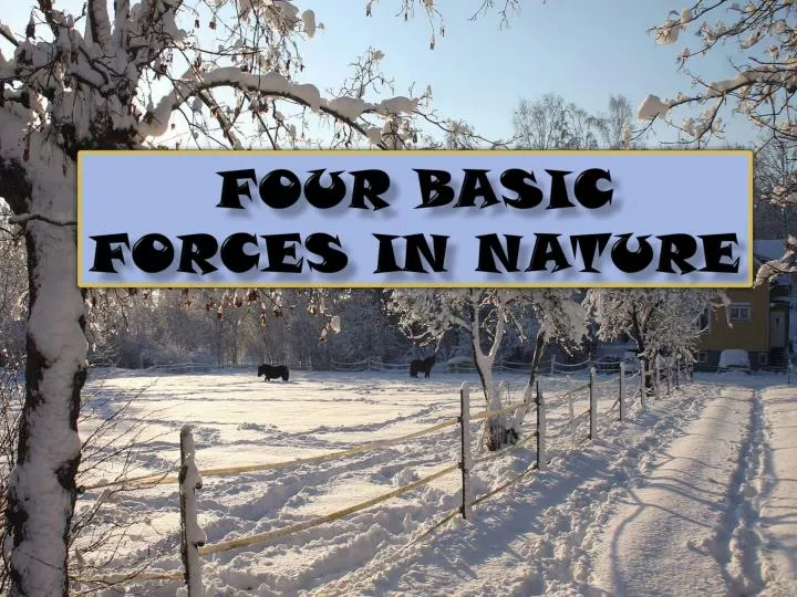 four basic forces in nature