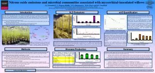 Nitrous oxide emissions and microbial communities associated with mycorrhizal-inoculated willows