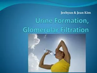 urine formation glomerular filtration
