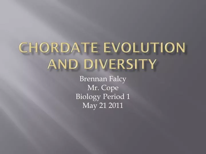 chordate evolution and diversity