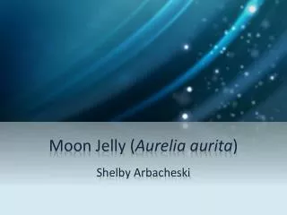 Moon Jelly ( Aurelia aurita )