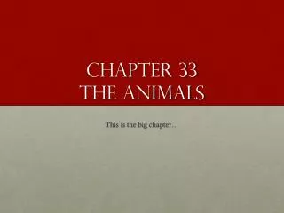 Chapter 33 The ANIMALS