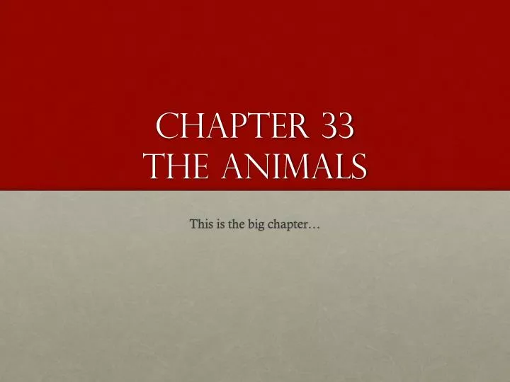 chapter 33 the animals