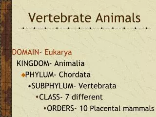 Vertebrate Animals