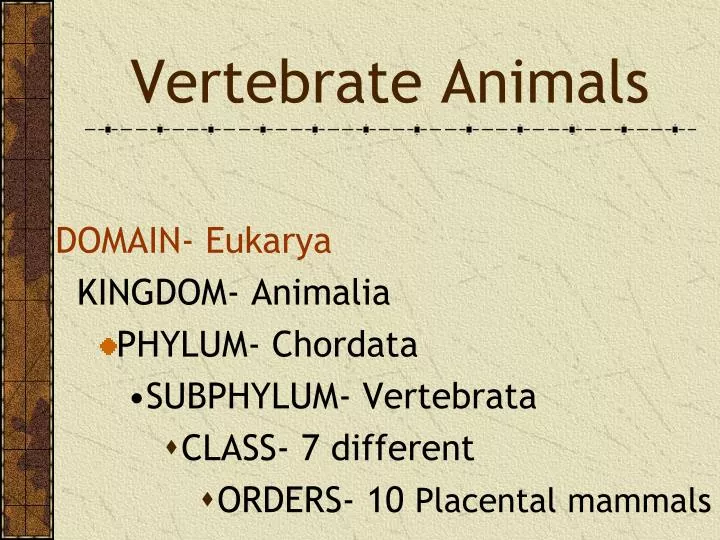 vertebrate animals