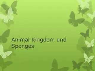 Animal Kingdom and Sponges