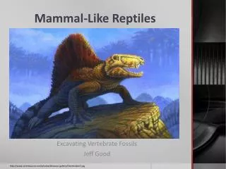 Mammal-Like Reptiles