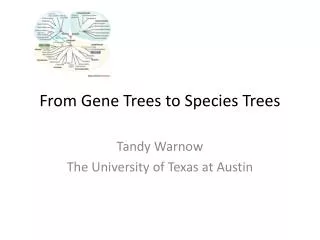 From Gene Trees to Species Trees