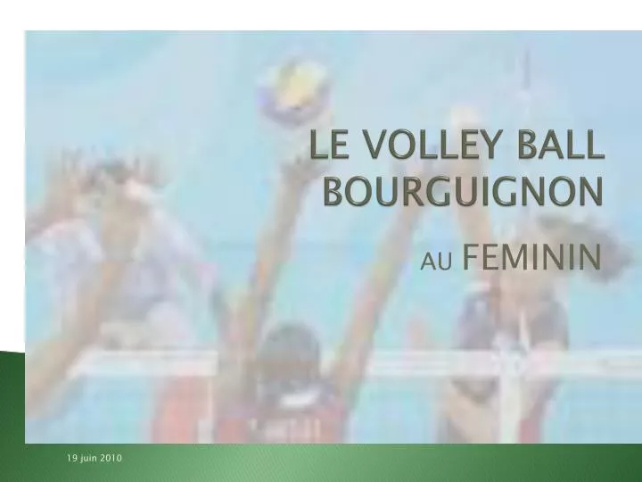 le volley ball bourguignon