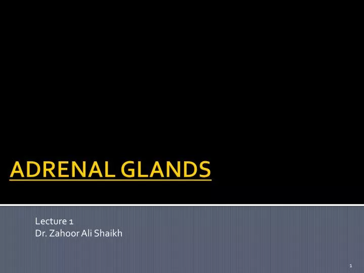 PPT - ADRENAL GLANDS PowerPoint Presentation, free download - ID:2178934