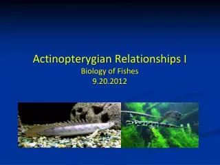 Actinopterygian Relationships I Biology of Fishes 9.20.2012