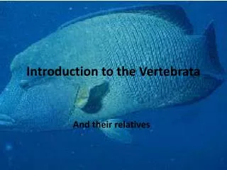 Introduction to the Vertebrata