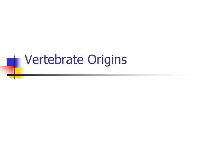 vertebrate origins