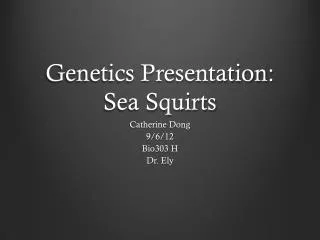 Genetics Presentation: Sea Squirts
