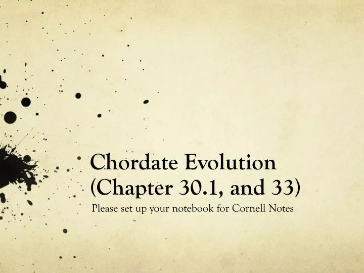 chordate evolution chapter 30 1 and 33