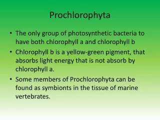 Prochlorophyta