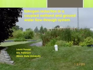 Estrogen reduction in a coupled wetland and ground water flow-through system