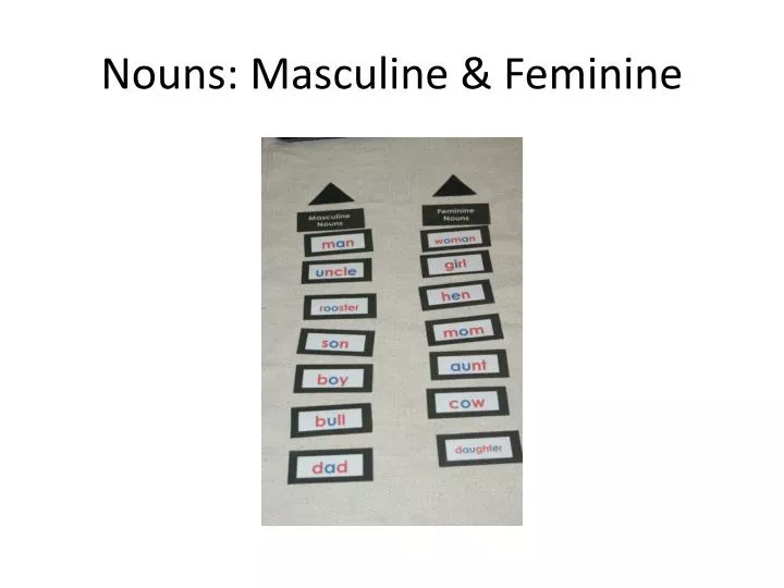 nouns masculine feminine