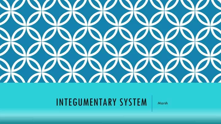 integumentary system