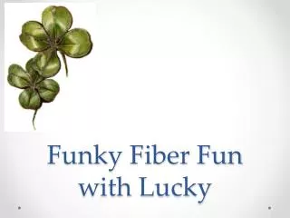Funky Fiber Fun with Lucky