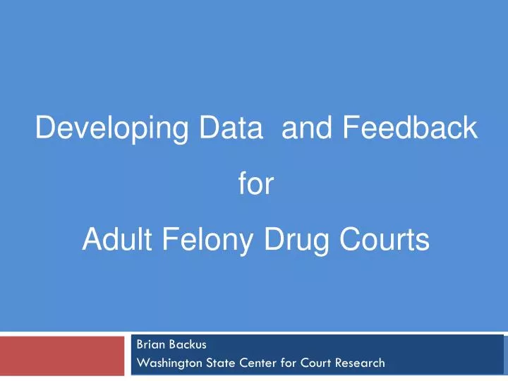 developing data and feedback for adult felony drug courts