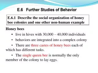 E.6 Further Studies of Behavior