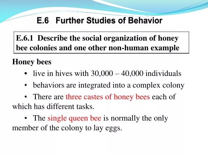 e 6 further studies of behavior