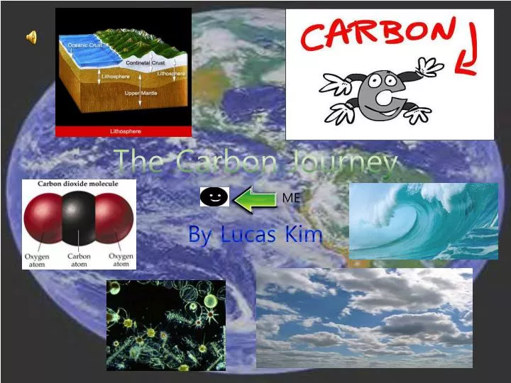 the carbon journey