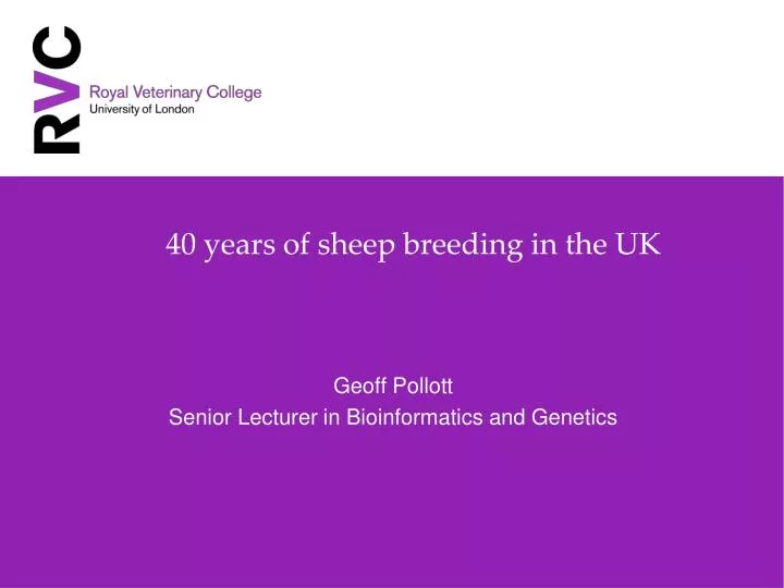 40 years of sheep breeding in the uk