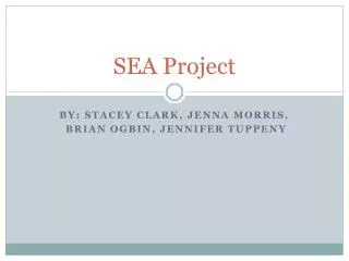 SEA Project