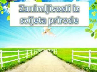 Zanimljivosti iz svijeta prirode