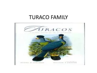 TURACO FAMILY