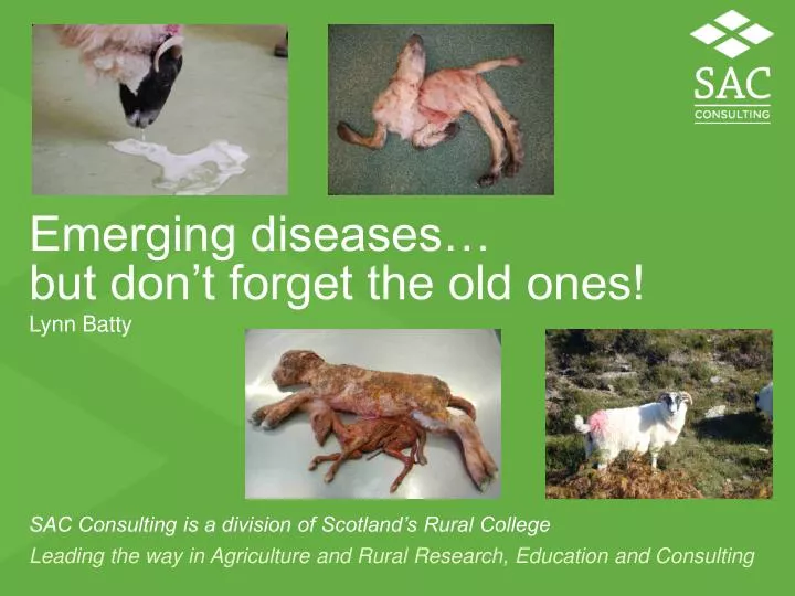 emerging diseases but don t forget the old ones