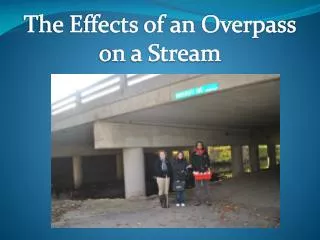 The Effects of an Overpass o n a Stream