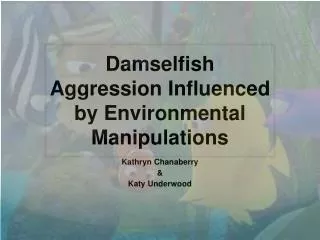 Damselfish Aggression Influenced by Environmental Manipulations