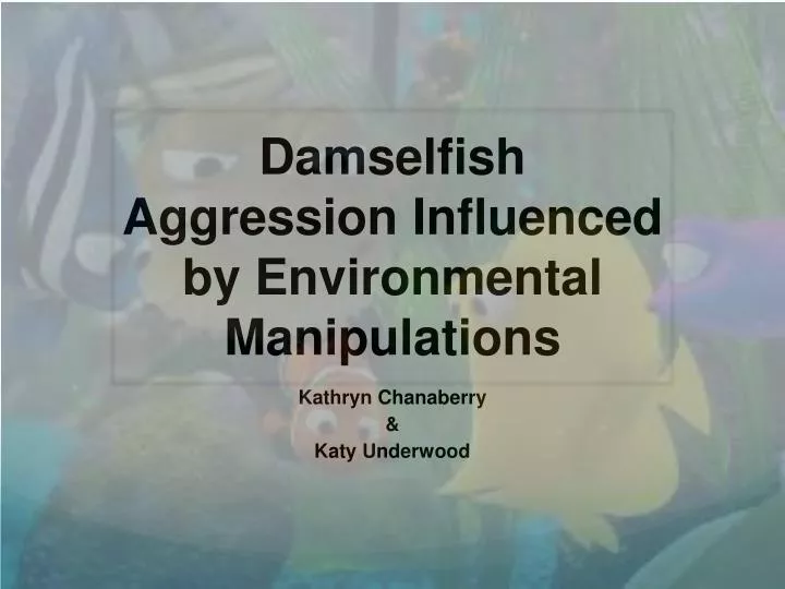 damselfish aggression influenced by environmental manipulations