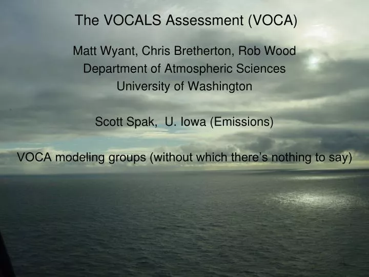 the vocals assessment voca