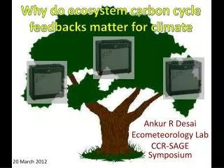 Why do ecosystem carbon cycle feedbacks matter for climate