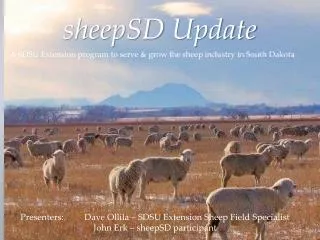 sheepSD Update