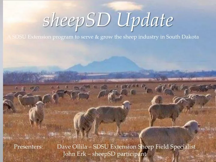 sheepsd update